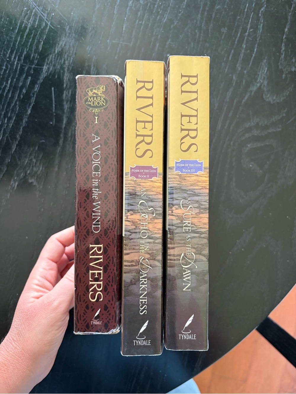 Mark of the Lion Trilogy by Francine Rivers